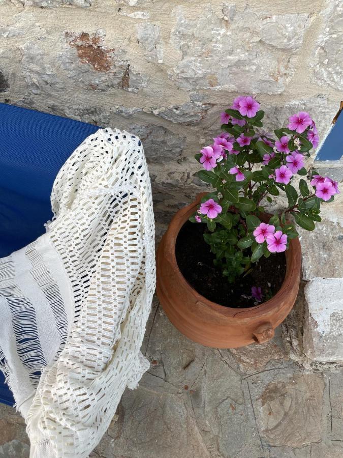Marina Castellana Studios II Chalki Town Exteriör bild